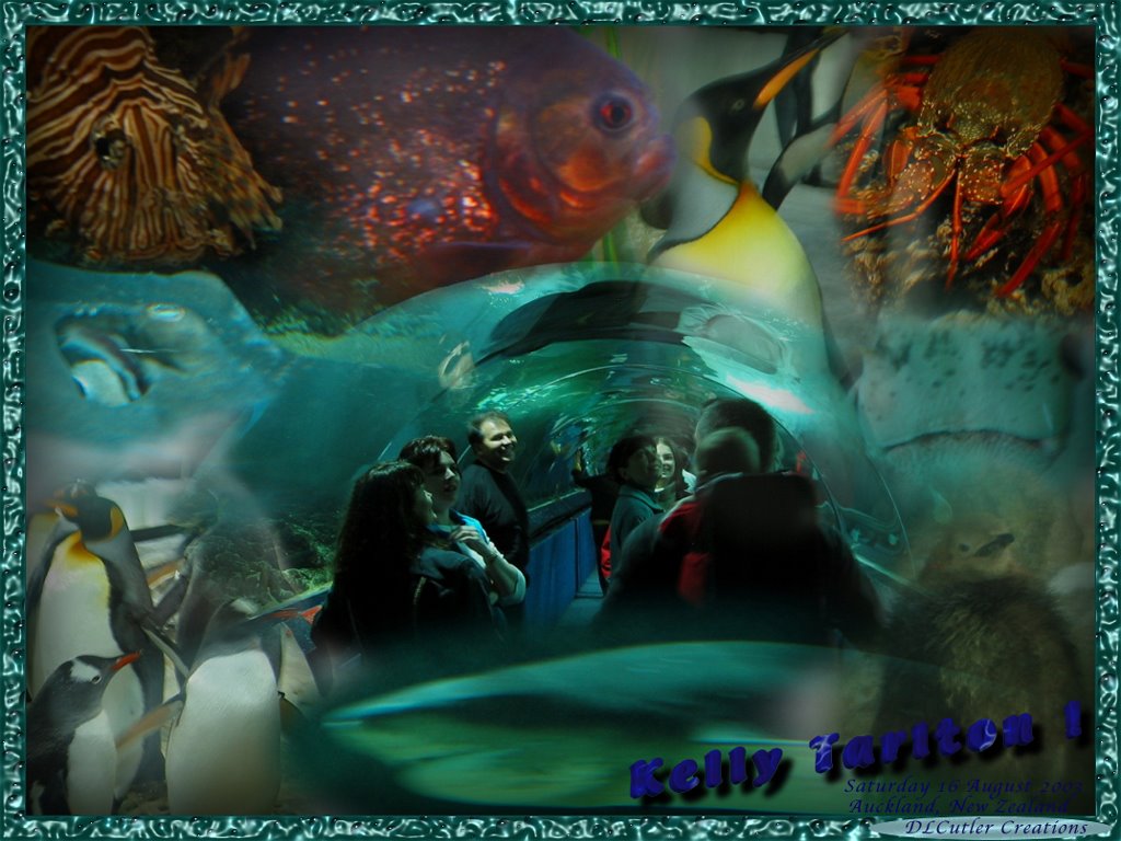 Fun at Kelly Tarlton's unique aquarium. by Cutler Creations