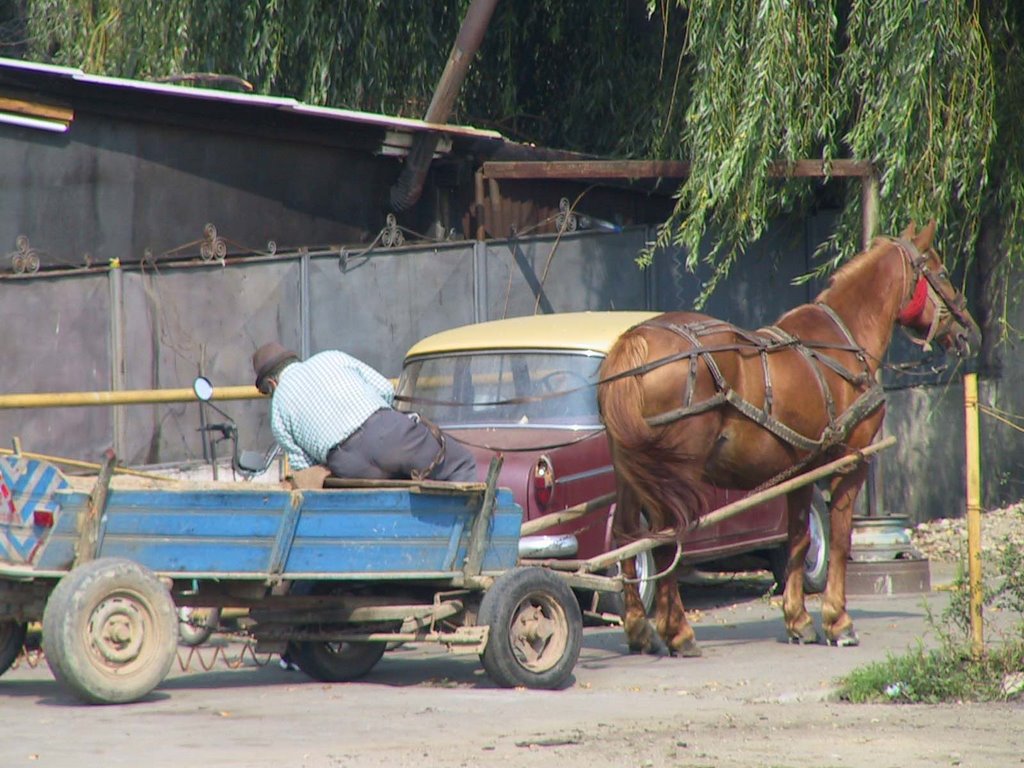 Romania kart by snorth