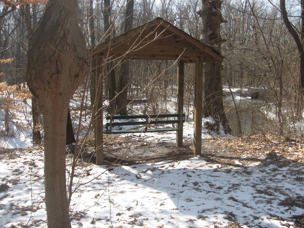 Cool Creek Park swing, bulbous tree by blibby