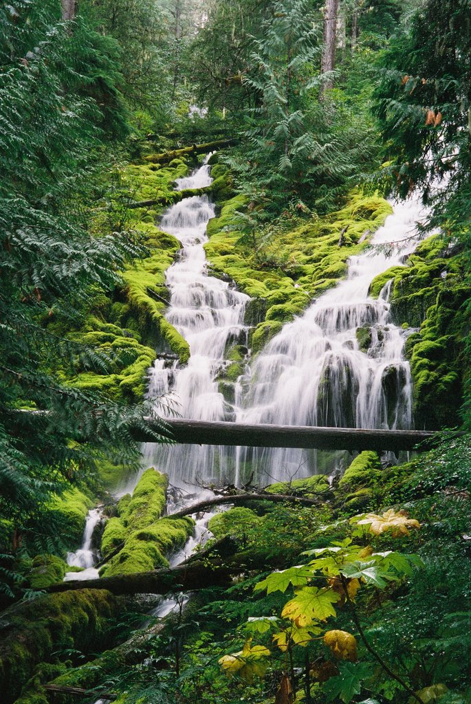 Proxy Falls Three Sisters Wilderness. Mckenzie Pass Hwy Oregon by © Michael Hatten http://www.sacred-earth-stud