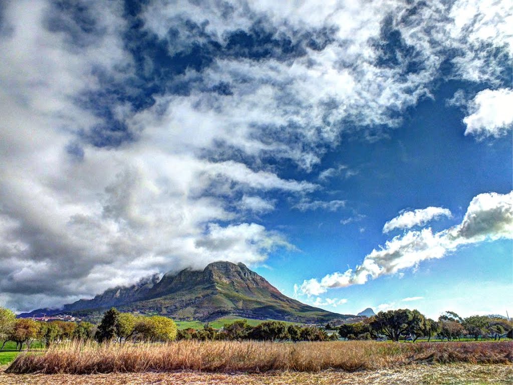 Photo taken in Observatory, Cape Town, South Africa by van vuuren