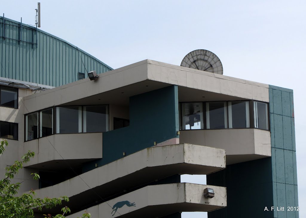 Multnomah Greyhound Park. Wood Village, Oregon. May 30, 2012. by A. F. Litt