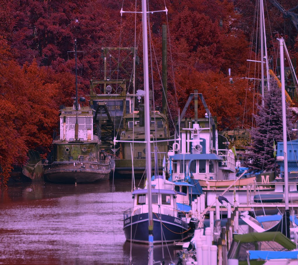 Port Dover Navy by Tim O'Dell