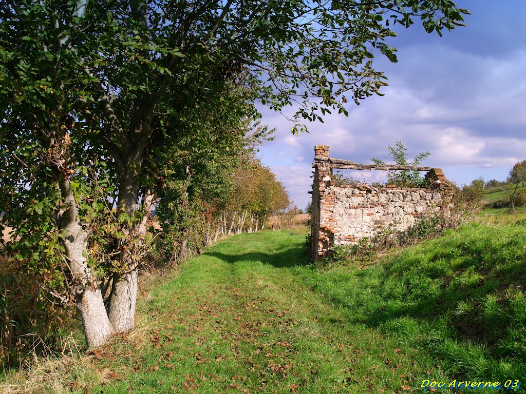 Ruine de cabane by Doc ARVERNE