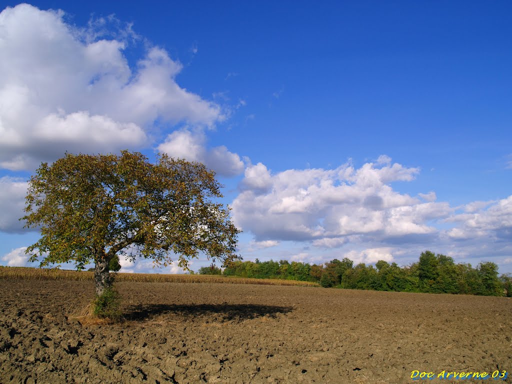 Temps des labours by Doc ARVERNE