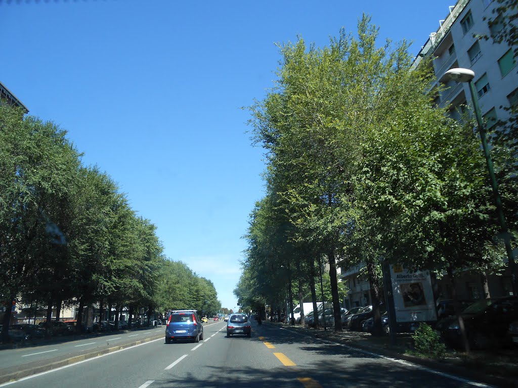 Torino, corso Trapani by palomar1947