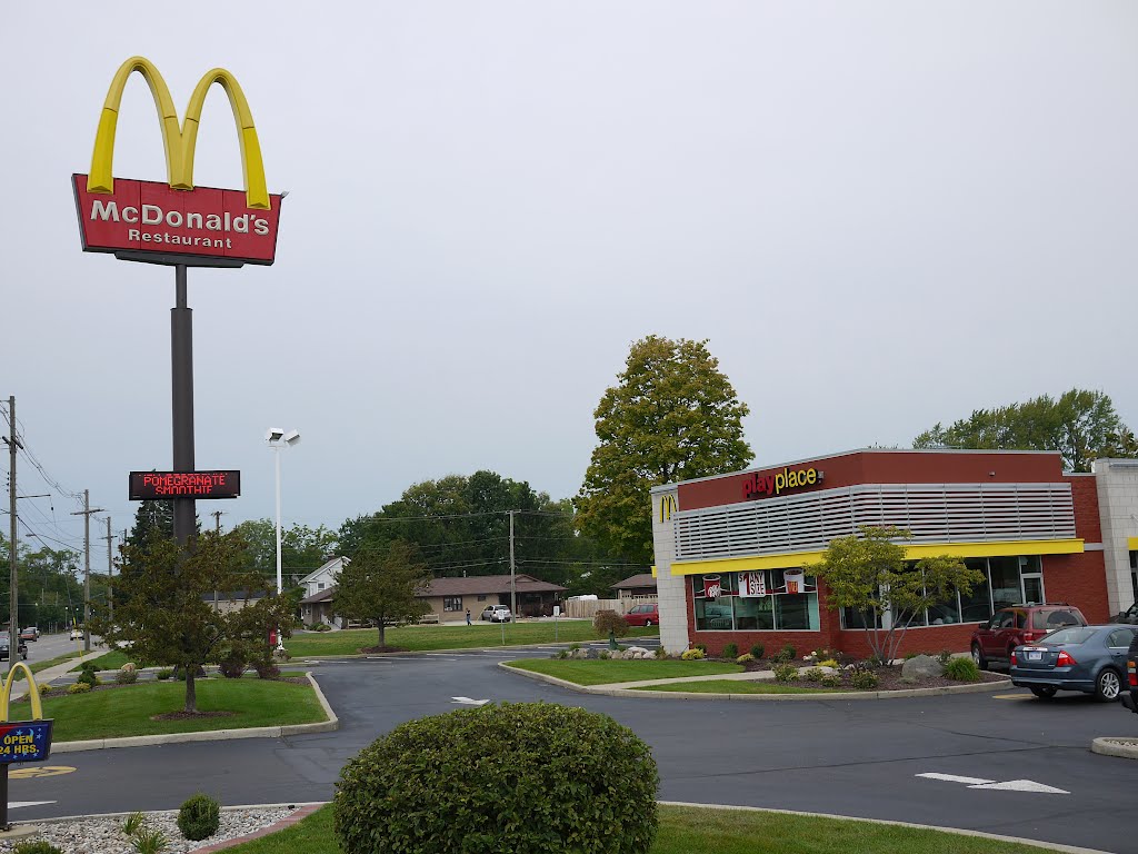 McDonald's play place in Coldwater, Michigan on US 12 by Frank Richards