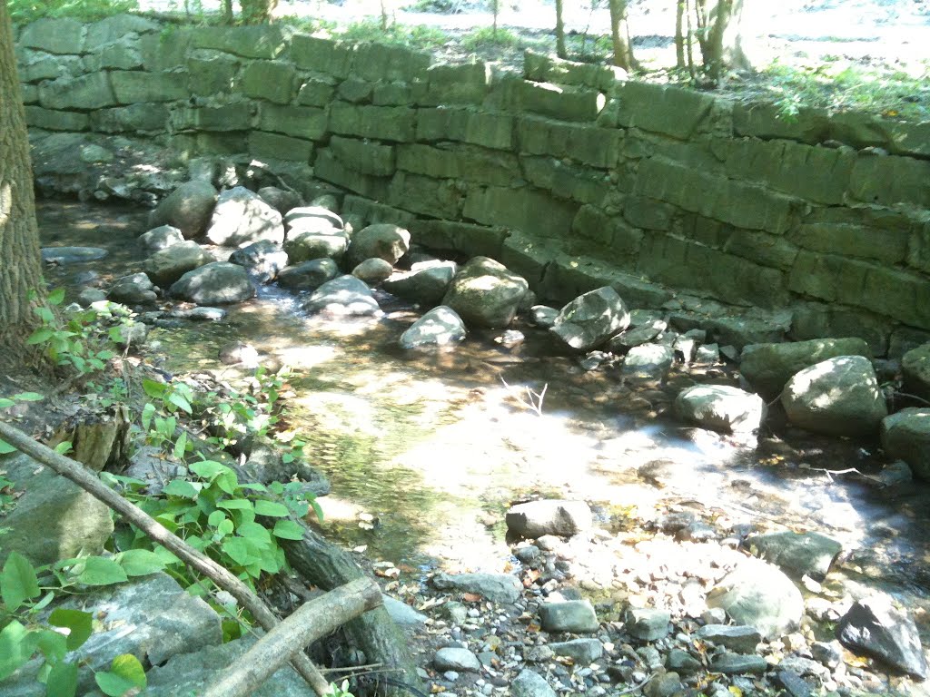 Trail near Yonge & St. Clair by dibegin