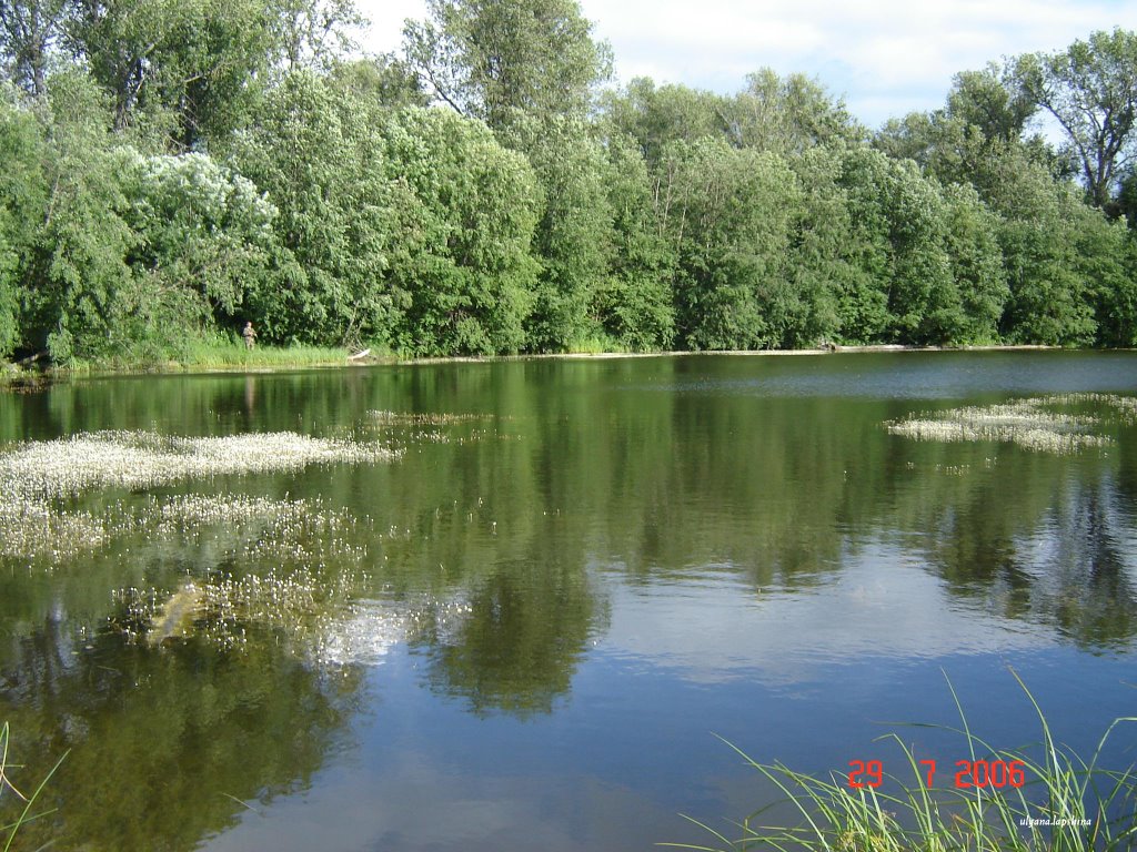 Our Lake (наше озеро) by Businka