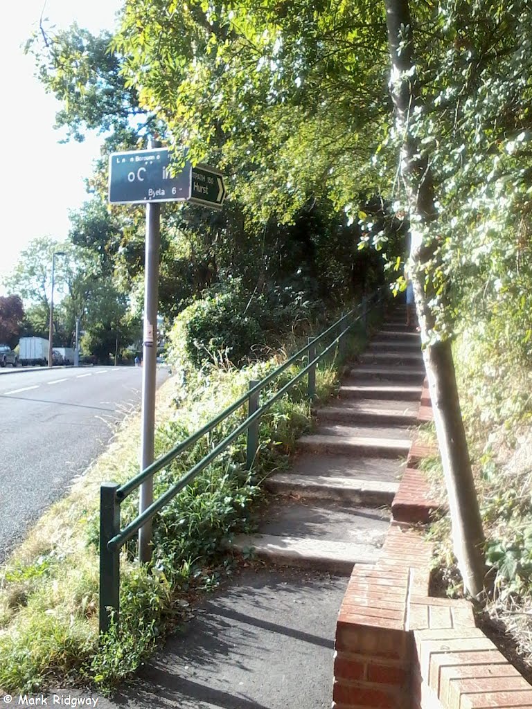 Footpath by Upper Selsdon Road by Mark Ridgway