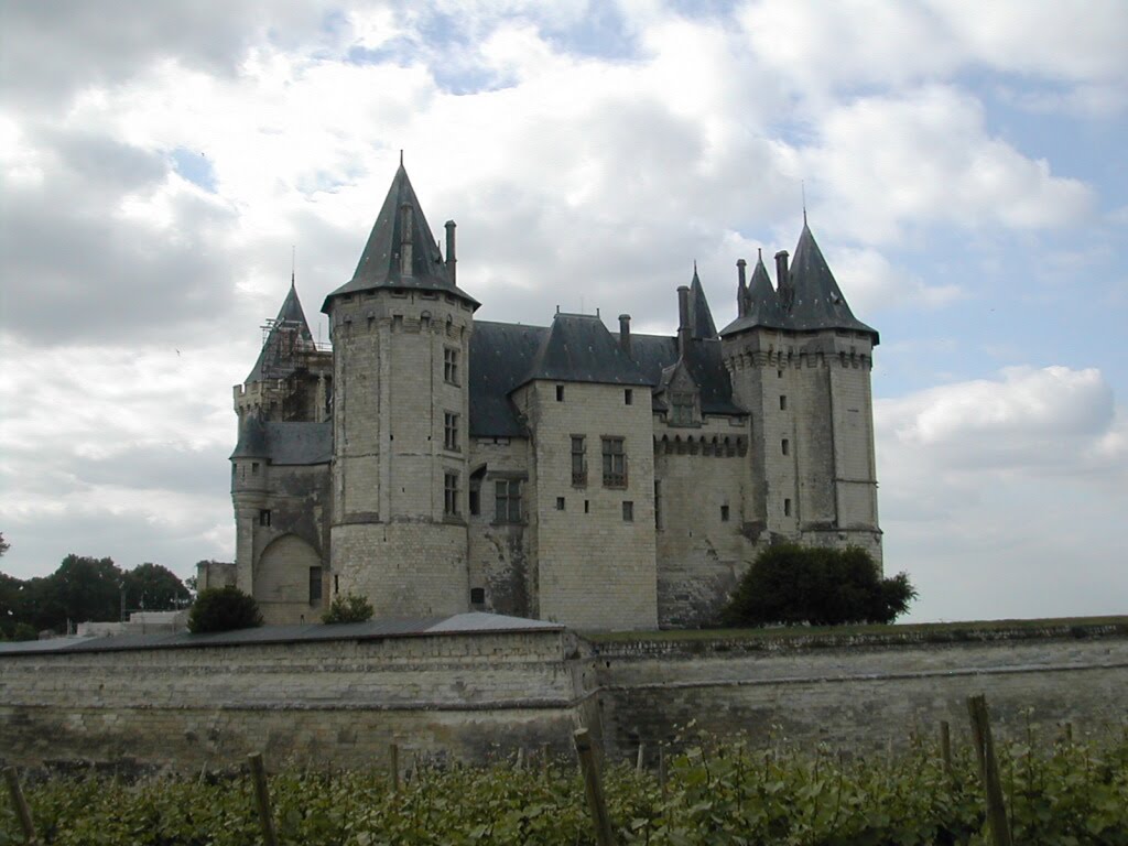 Saumur: Le château by lioneldupin