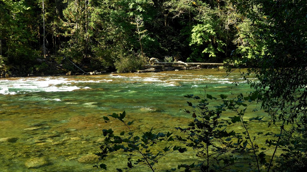 The Stamp River runs clear, fast, and full of salmon... by frtzw906