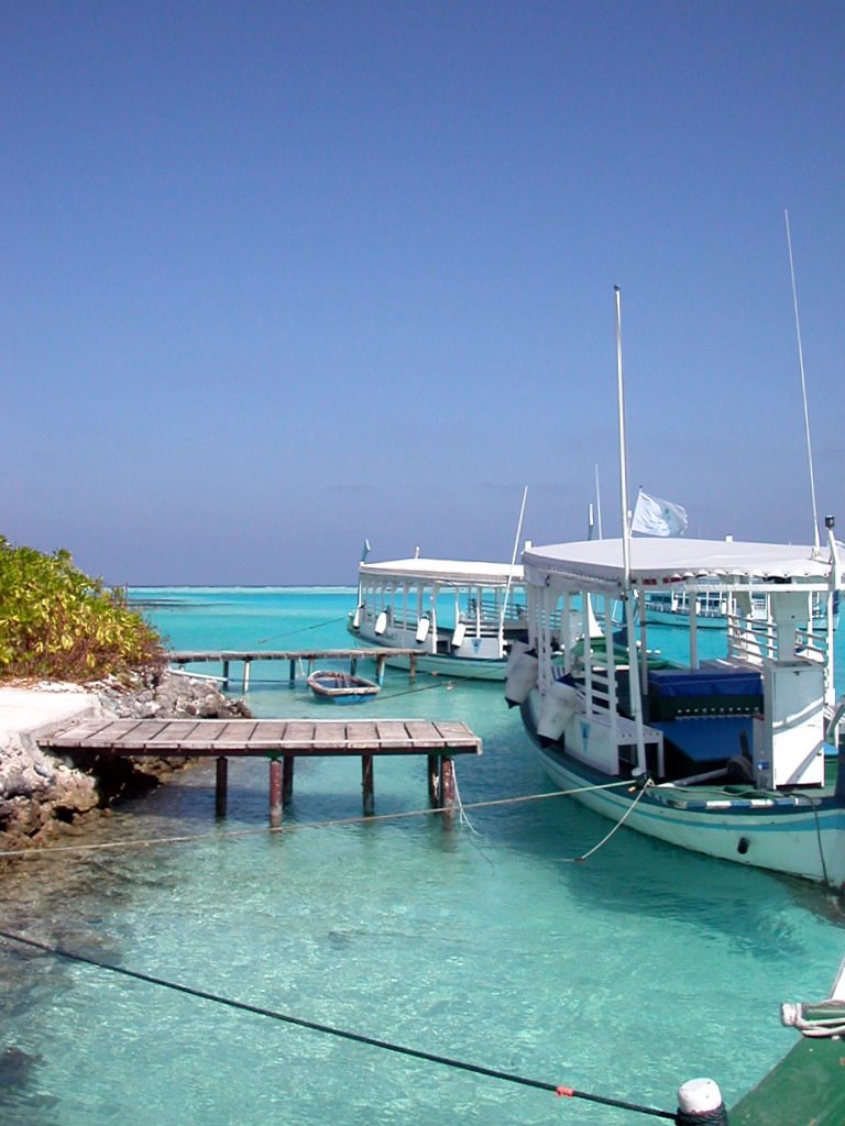 Fun Island- Maldives - South Island by ledjeg