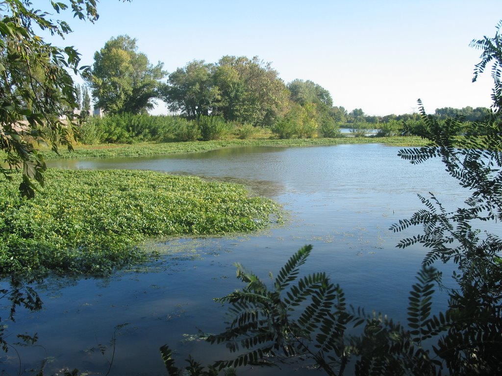 Confluence de la Cèze à Codolet by Ludovic GRONVOLD