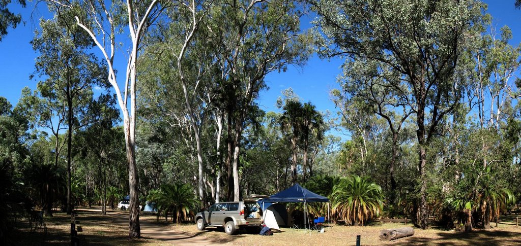 Carnarvon Gorge, Carnarvon National Park (Camping site) by mshirst