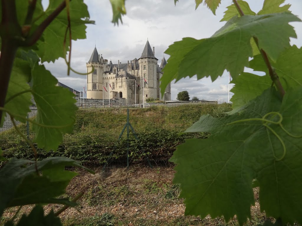 Château de Saumur - Maine et Loire by JC Nail