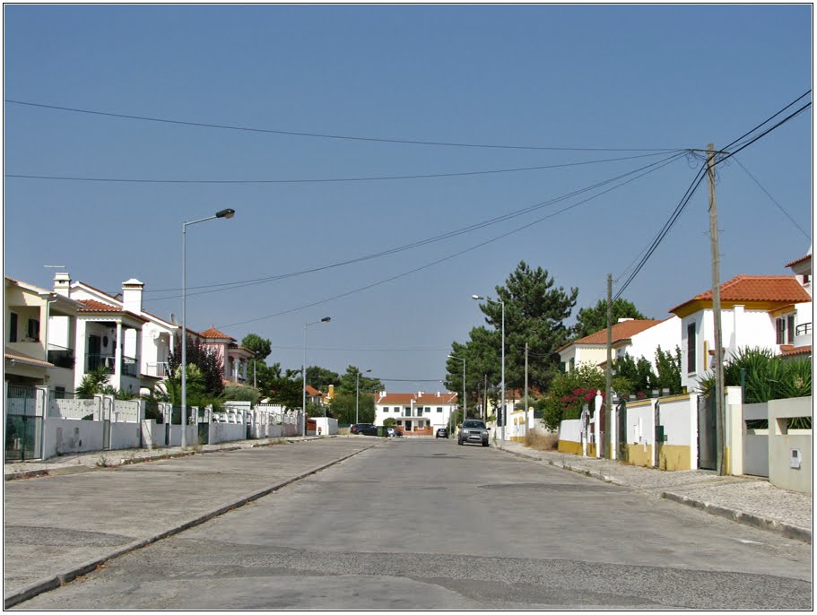 Rua da Juventude Azeitonense by Barragon