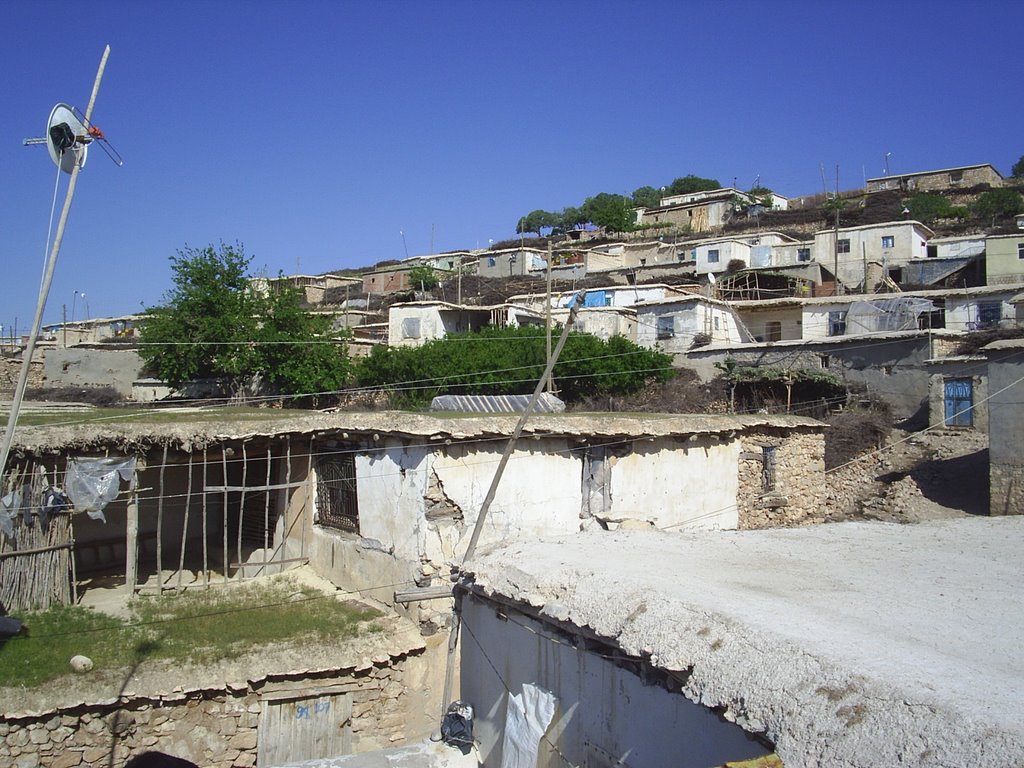 Yayvan (Tılêtin) Köyü by Karazî