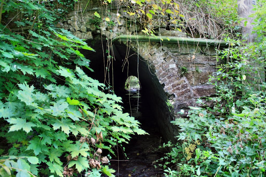 Wassertunnel by oller rainer