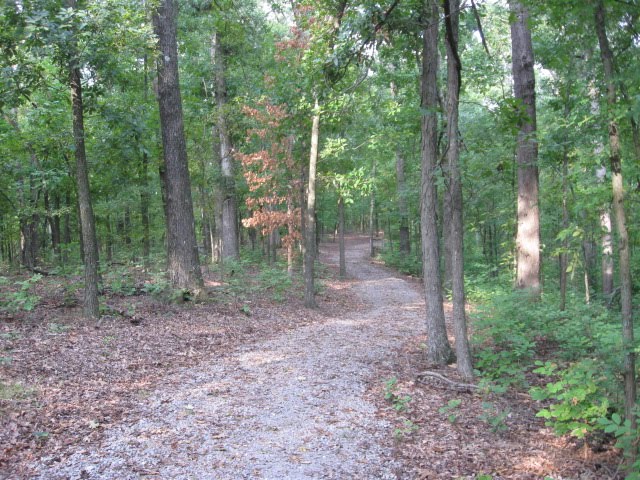 Vista Ridge Trail - Kuttawa, KY by Woodland Trekker