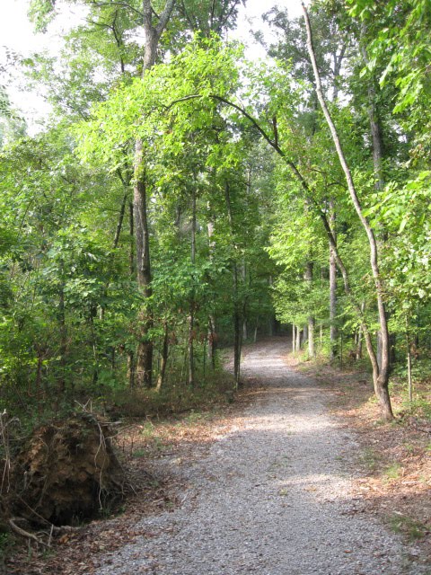 Vista Ridge Trail - Kuttawa, KY by Woodland Trekker