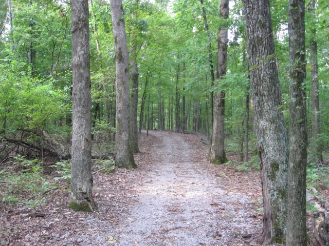 Vista Ridge Trail - Kuttawa, KY by Woodland Trekker