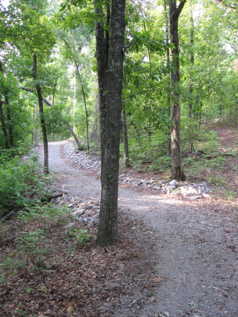 Vista Ridge Trail - Kuttawa, KY by Woodland Trekker