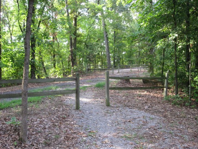 Vista Ridge Trail - Kuttawa, KY by Woodland Trekker