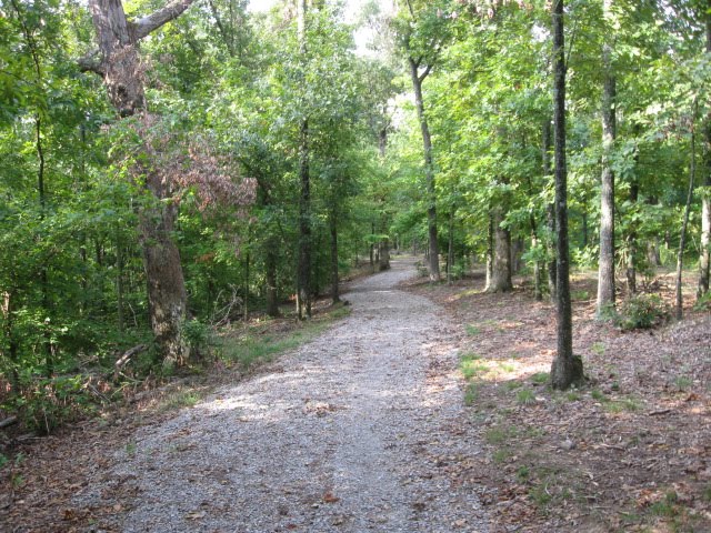 Vista Ridge Trail - Kuttawa, KY by Woodland Trekker