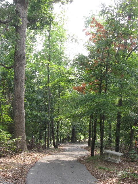 Vista Ridge Trail - Kuttawa, KY by Woodland Trekker