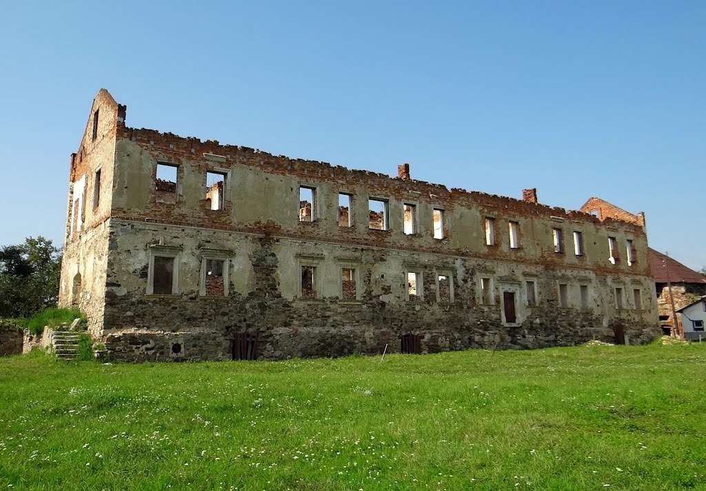 Золотий потік - руїни замкового палацу, Zolotyi Potik - ruins of palace, Золотой Поток - руины дворца by hranom