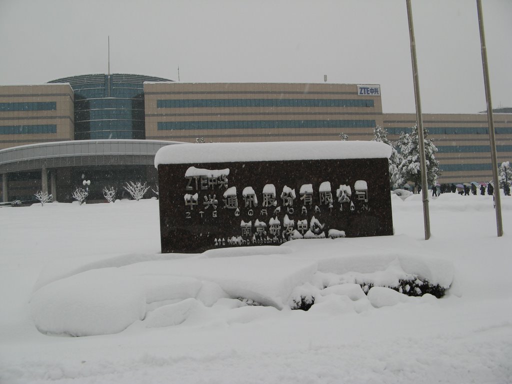 ZTE Nanjing R&D Center in Snow Storm by new_dreaman