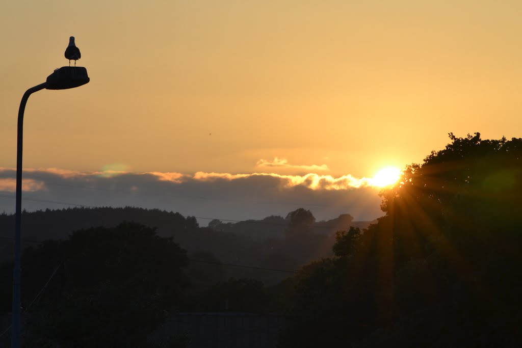 Sunset Llandaf North by peterjwilliamsonphoto@gmail.com