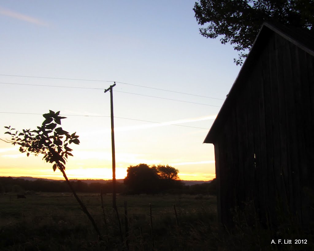 Sauvie Island, Oregon. September 1, 2012. by A. F. Litt