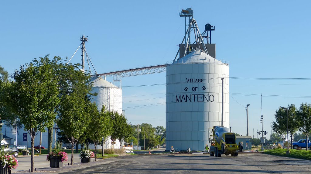 Village of Manteno Grain Elevator by D200DX