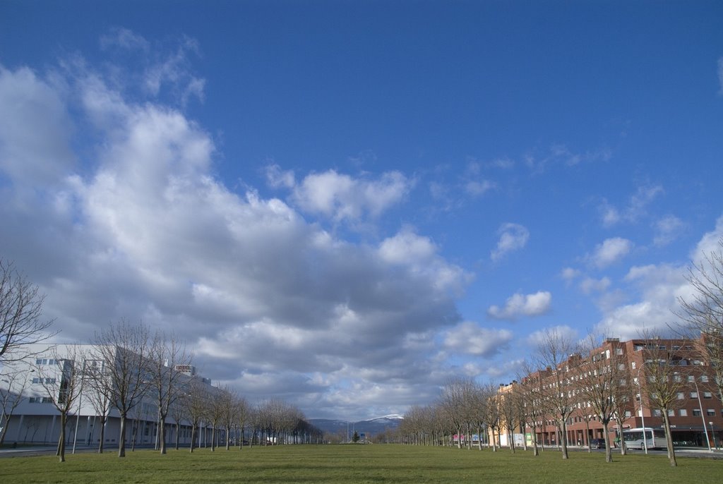 Portal de Foronda, vista norte by inigof