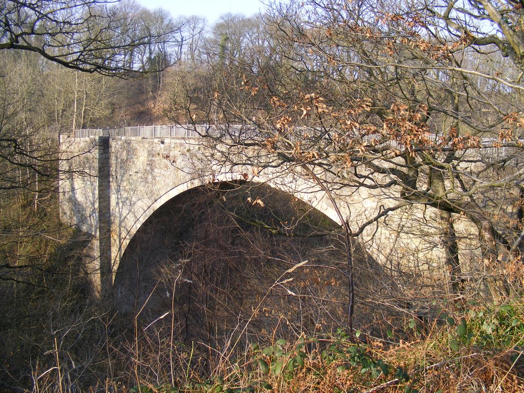 Causey Arch by Ian Todd