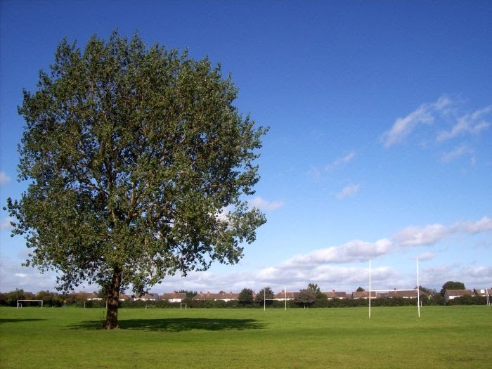 Rugby fields by sport in touch UK