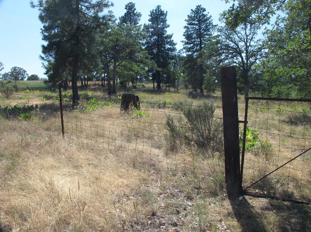 Cemetery gate. This is publicly accessible. by "Histories & Mysteries of the Columb