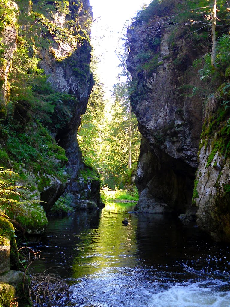 Rechenfelsen, Haslachschlucht by Alfred Schneider