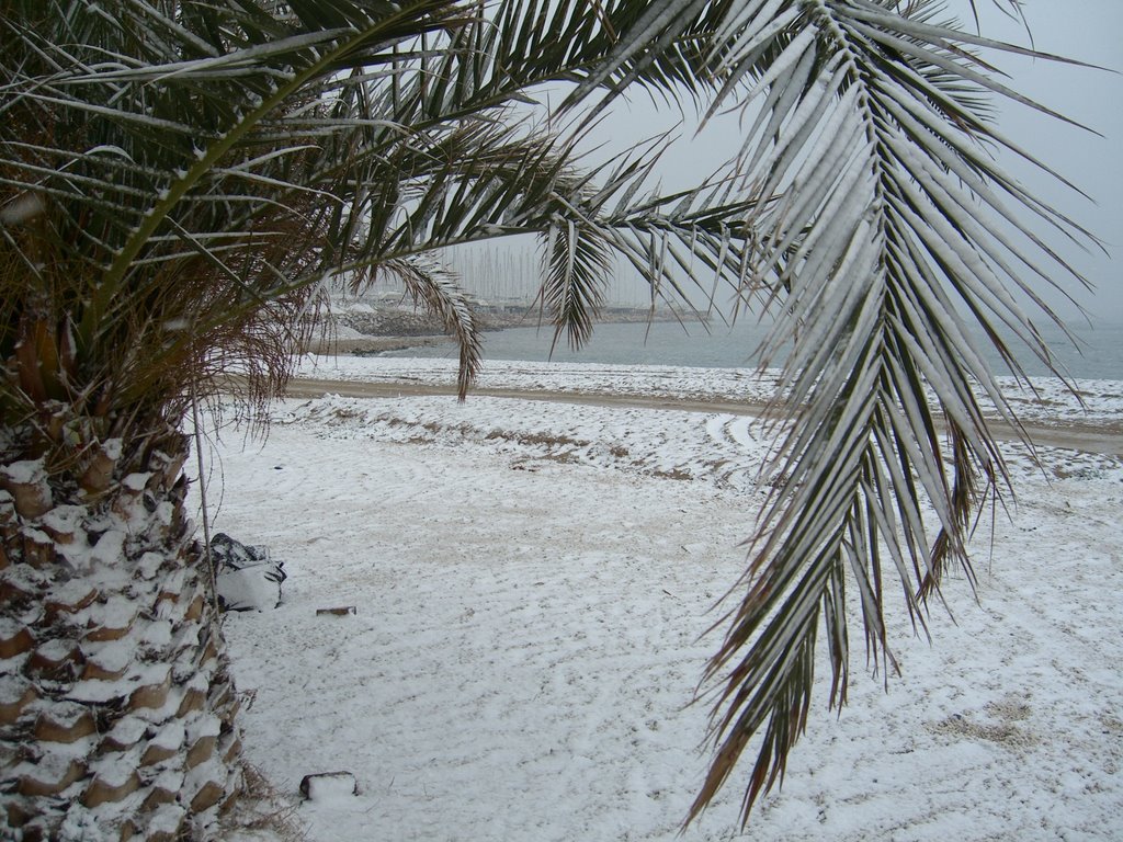 Edem beach in snow(17.02.2008) by shadagasta