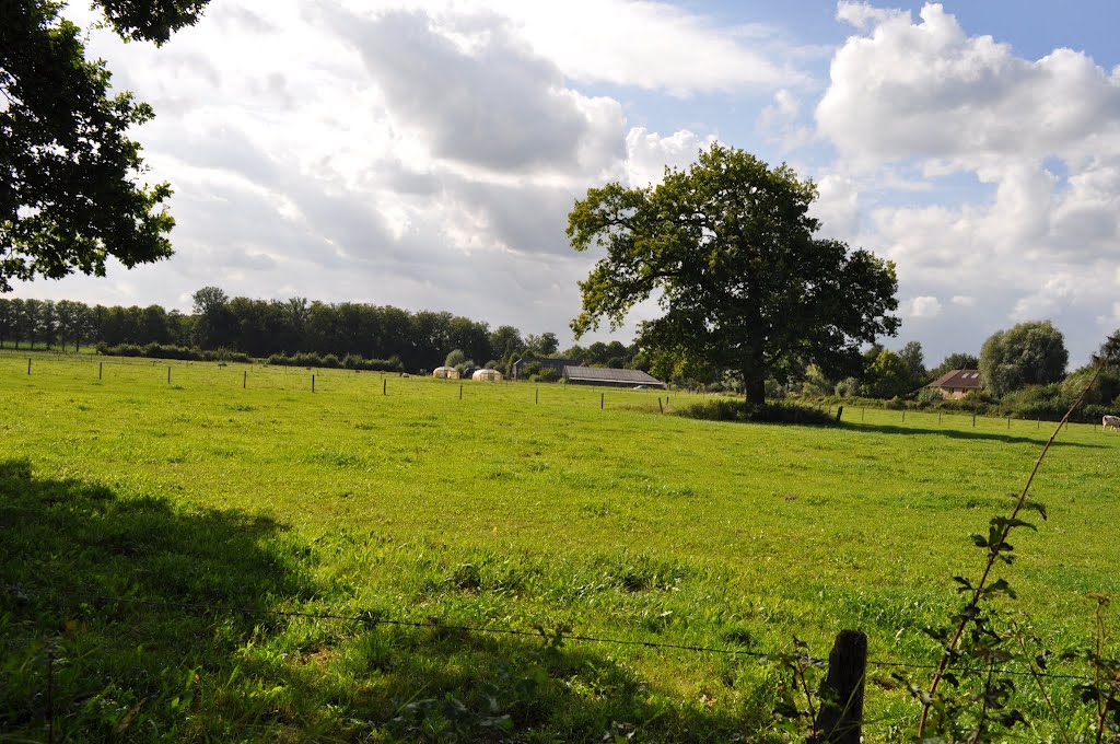 Overkempe vanuit Fietspad Eikelhofseweg by RonBeck