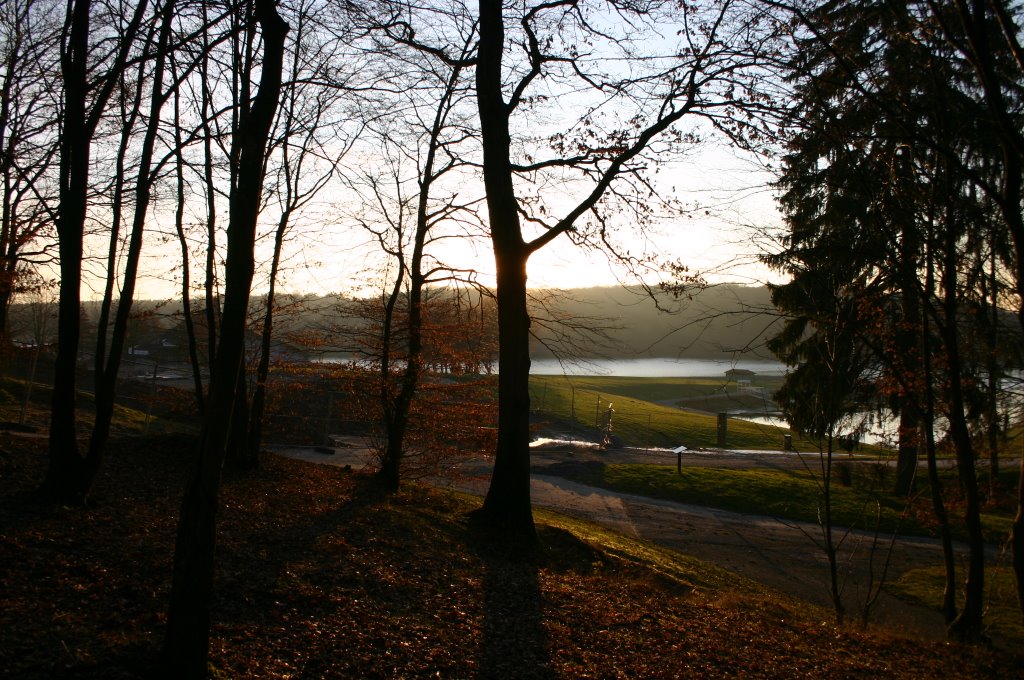 Le Val Joly sous le soleil d'hiver by Charles de Oliveira