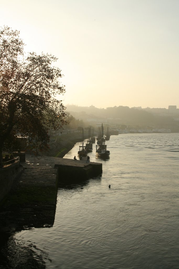 Porto boats by michpol