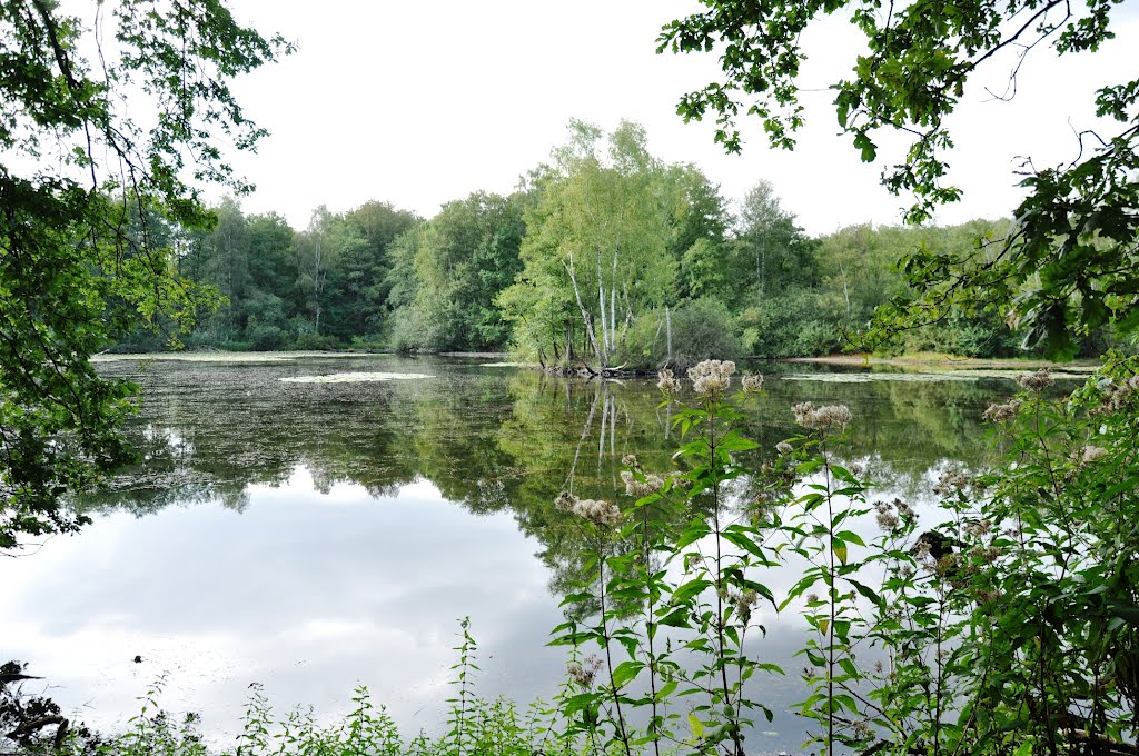 Troisdorf / Germany: "Adventure Trails Agger - Sieg". The "Leyen - pond". Photographed in September 2012. Troisdorf, Wahner Heide. Der Leyenweiher, ein Besuch der sich lohnt. Abgelichtet im September 2012 by © "Earth Views"