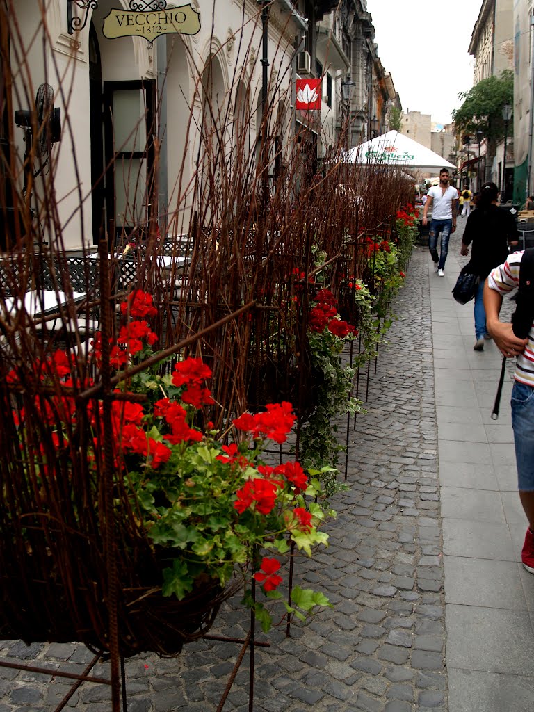 La pas prin Centrul Vechi / Walking through the Old Town by dinuveronica