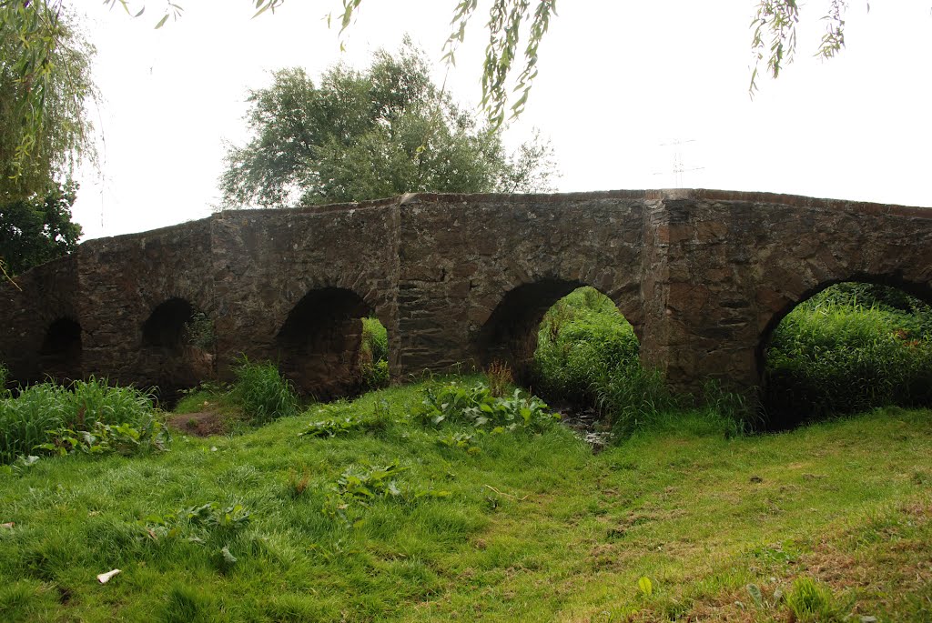 Anstey Bridge #4, Anstey, Leicestershire by Dave Green