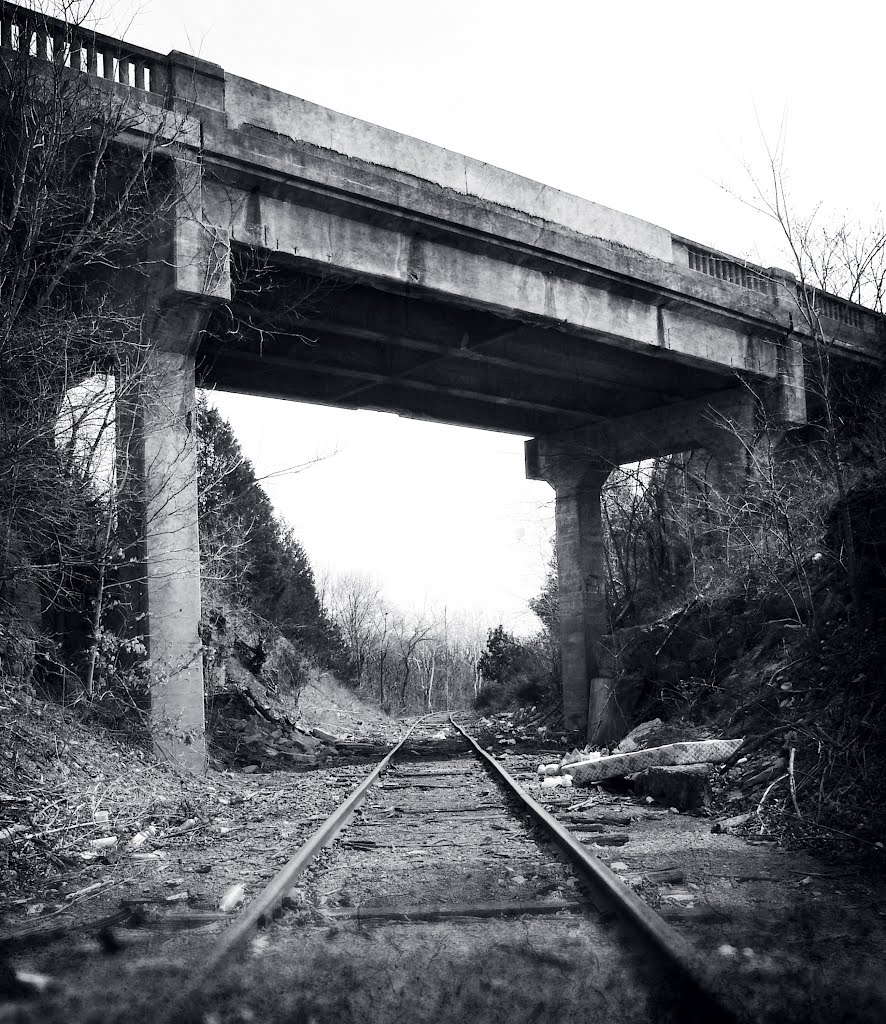 The Littered Rails by olcore