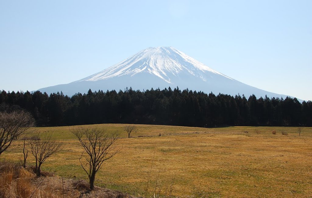 Fuji seen from Asagirikogen 朝霧高原からの富士山 by みっちゃん