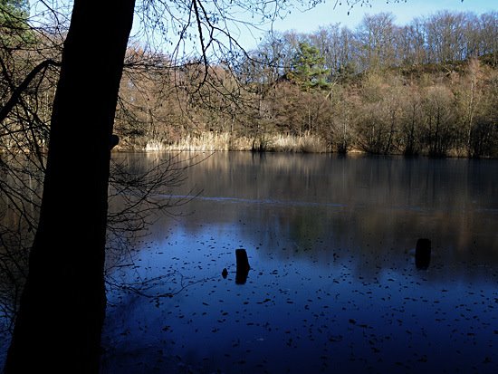 Malbergsee by Edward M.